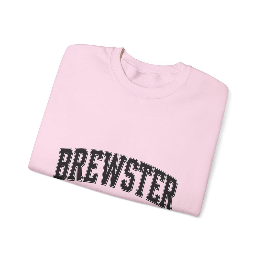 Brewster Vintage Sweatshirt | College Style Crewneck
