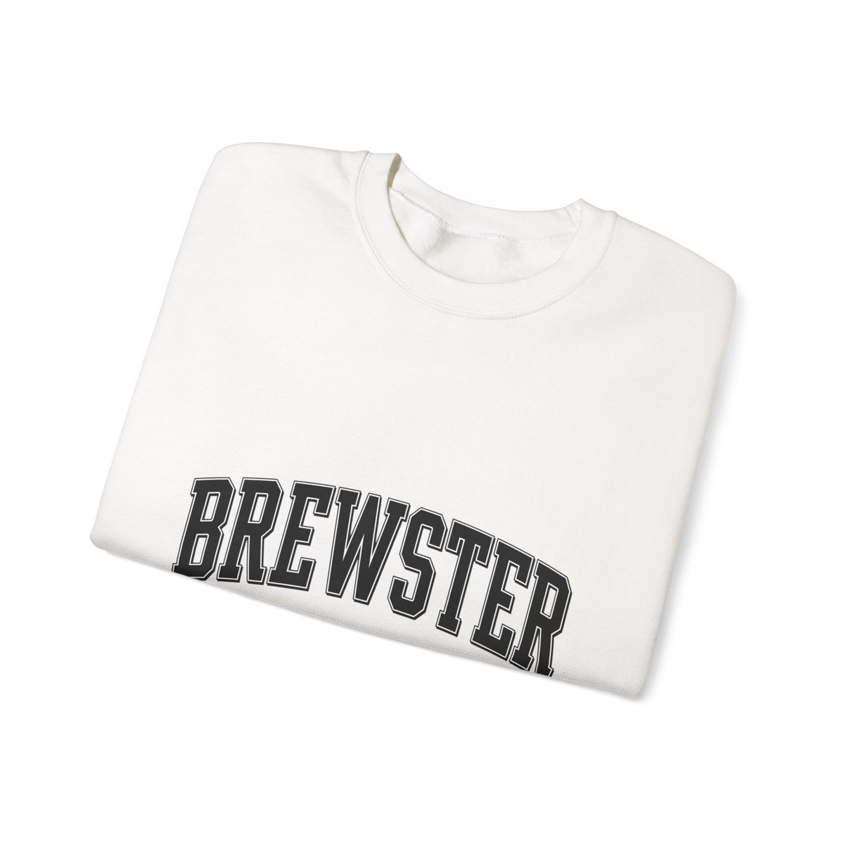 Brewster Vintage Sweatshirt | College Style Crewneck