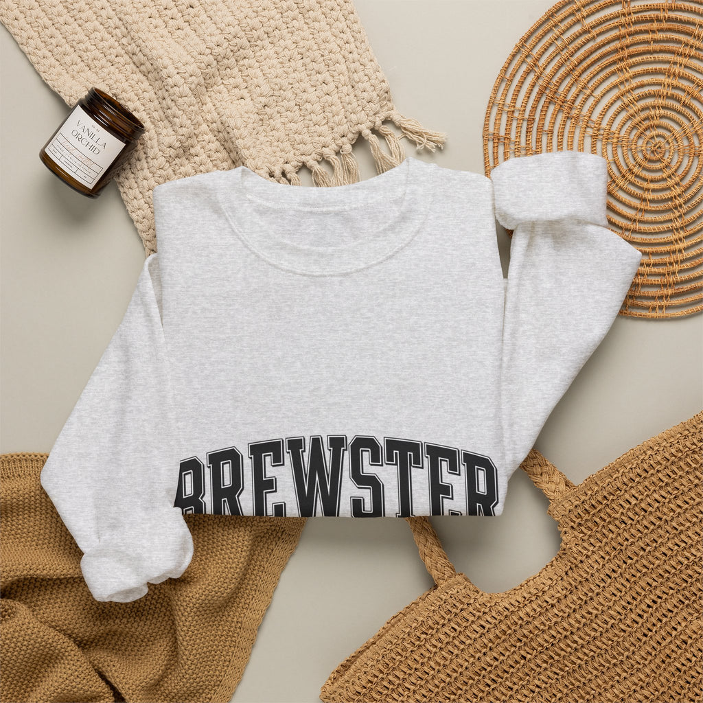 Brewster Vintage Sweatshirt | College Style Crewneck