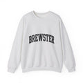 Brewster Vintage Sweatshirt | College Style Crewneck