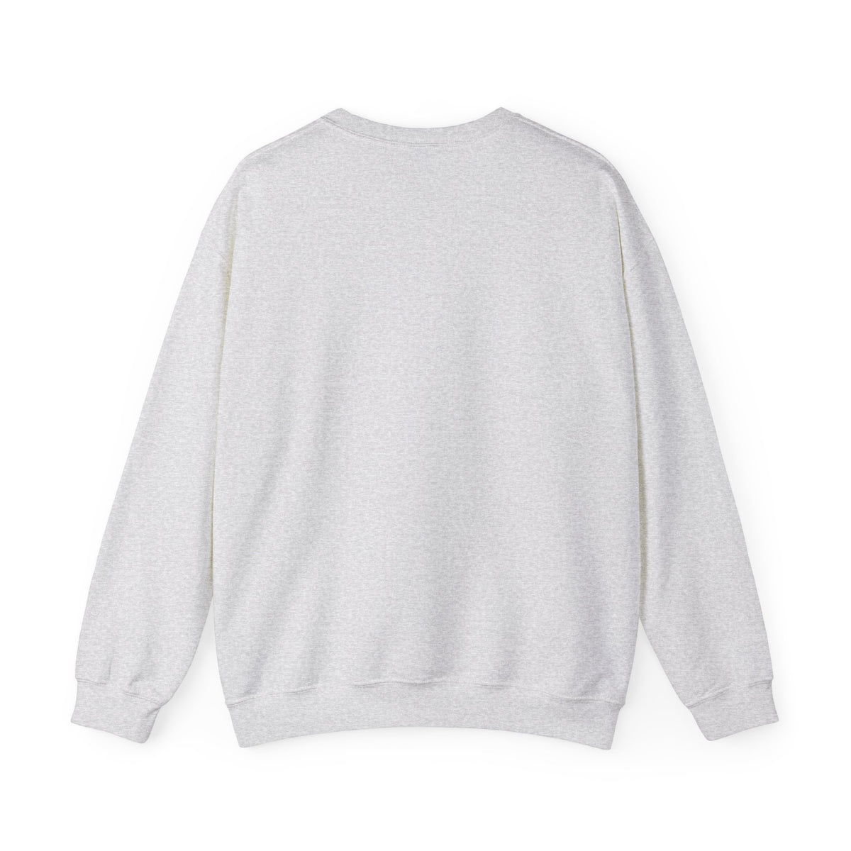 Brewster Vintage Sweatshirt | College Style Crewneck