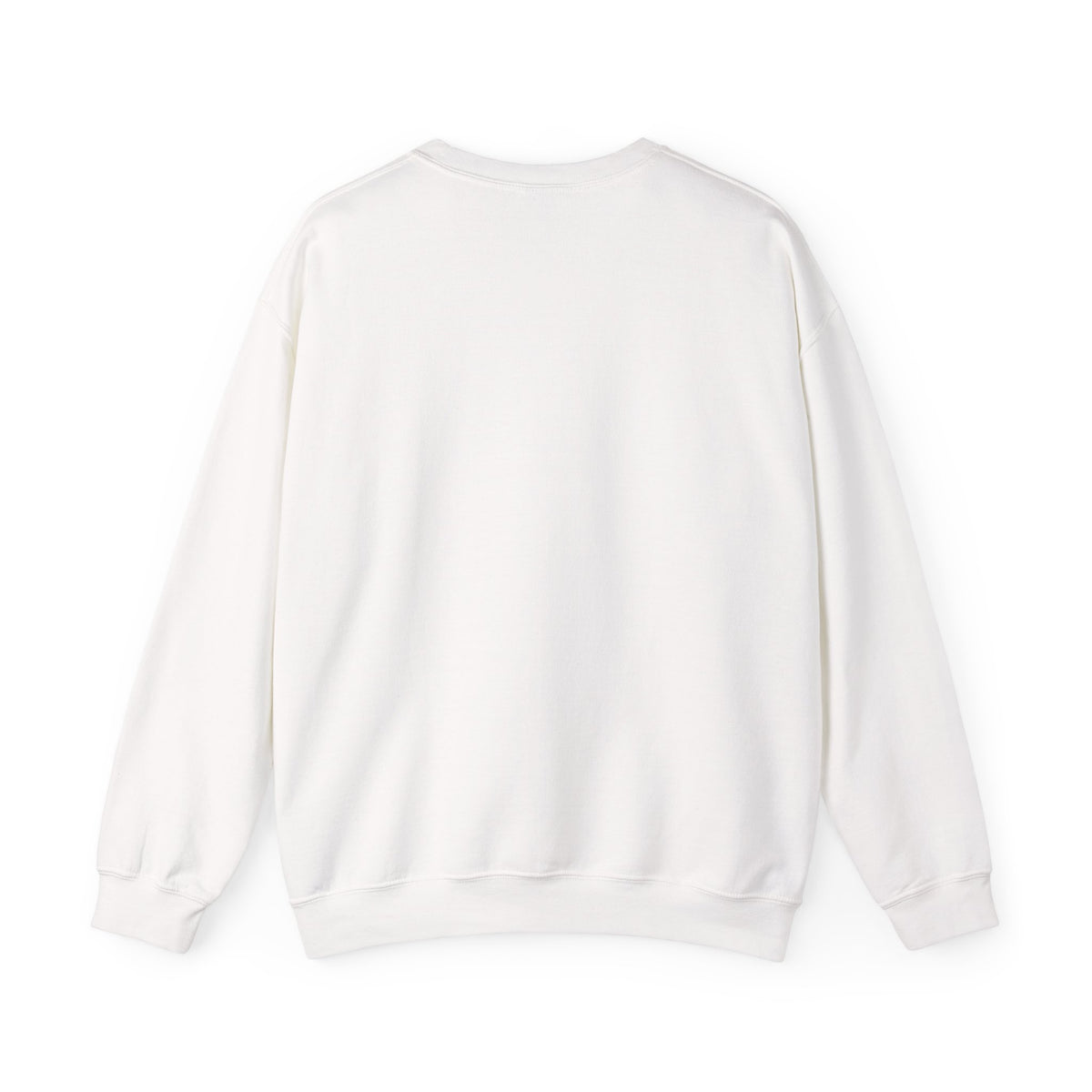 Brewster Vintage Sweatshirt | College Style Crewneck