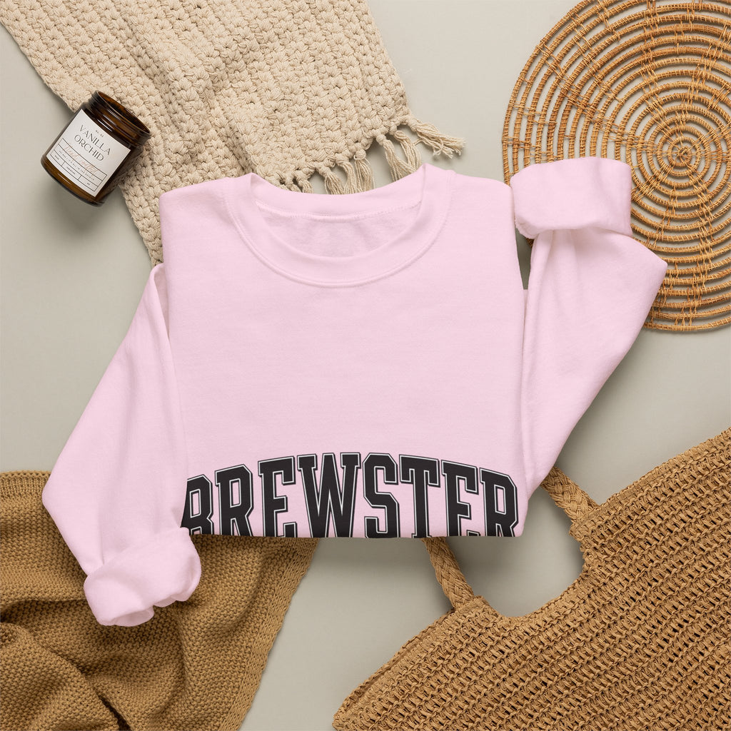 Brewster Vintage Sweatshirt | College Style Crewneck