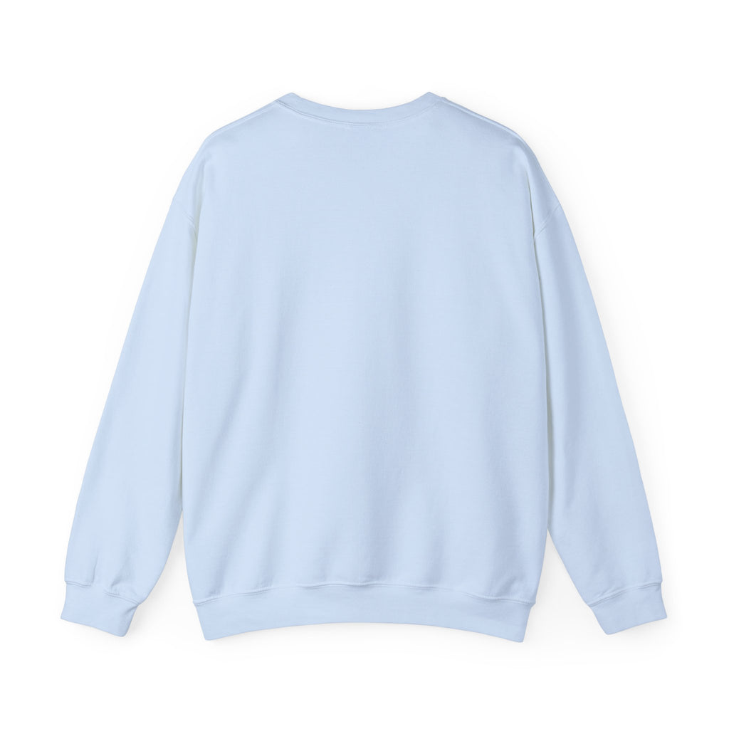 Brewster Vintage Sweatshirt | College Style Crewneck