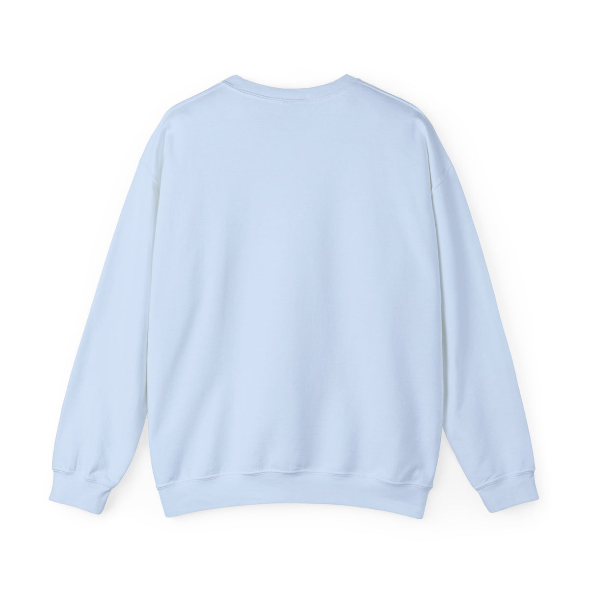 Brewster Vintage Sweatshirt | College Style Crewneck